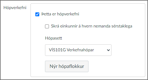hópverkefni