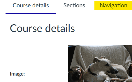 course settings - navigation tab